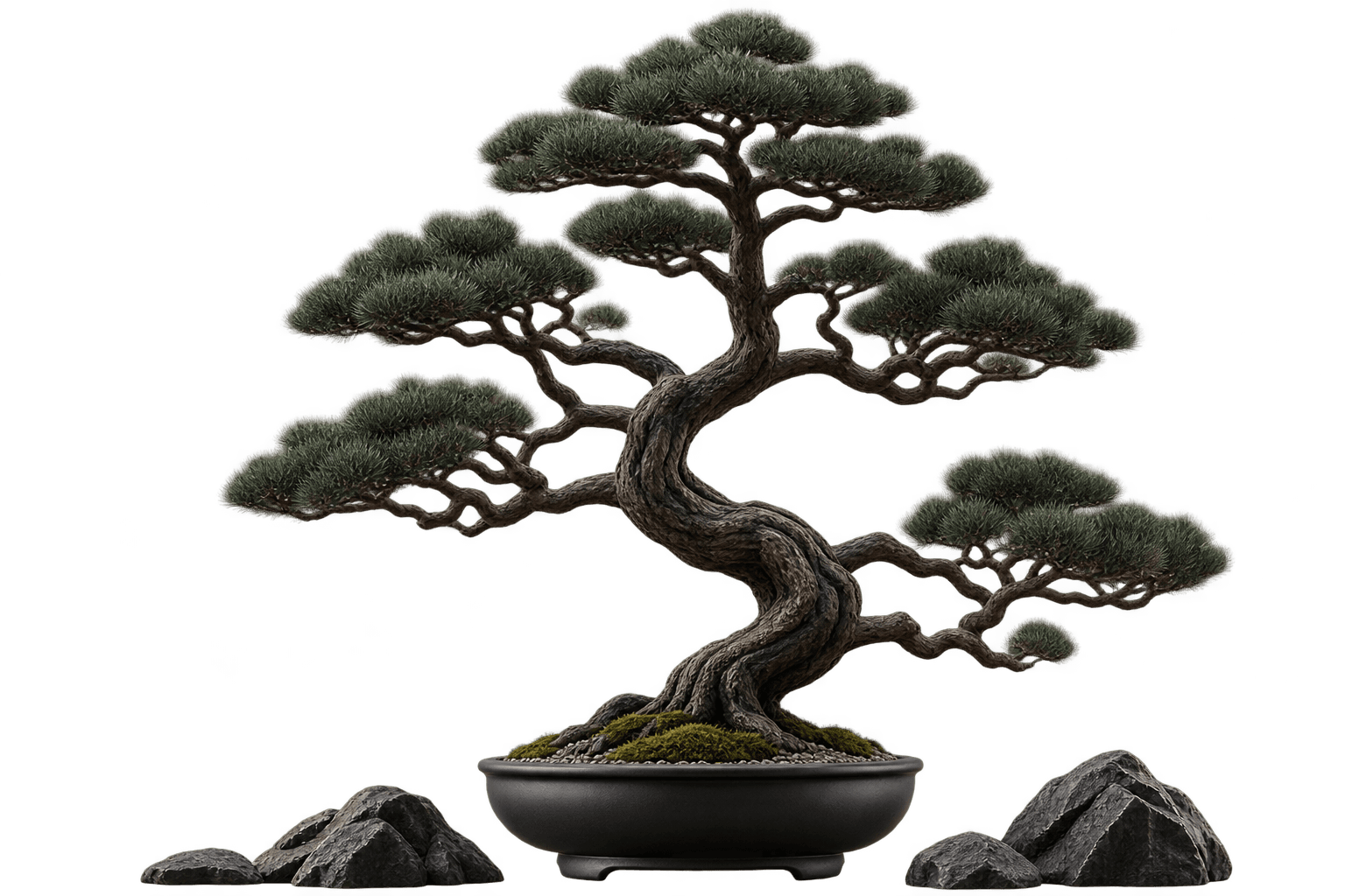 Bonsai Decoration